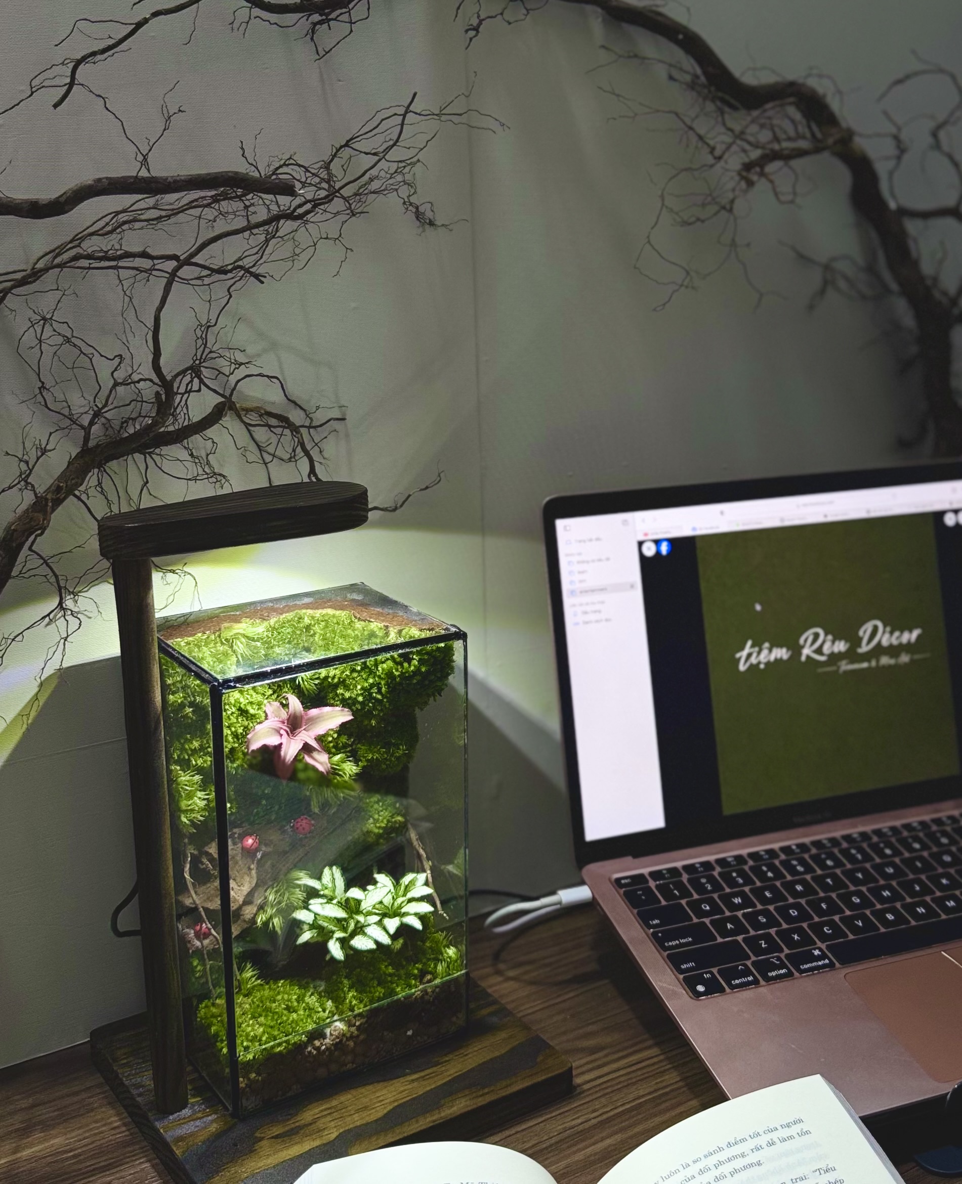Ánh Sáng Cho Terrarium: Bí Quyết Để Mảng Xanh Luôn Tươi Tốt Trong Nhà