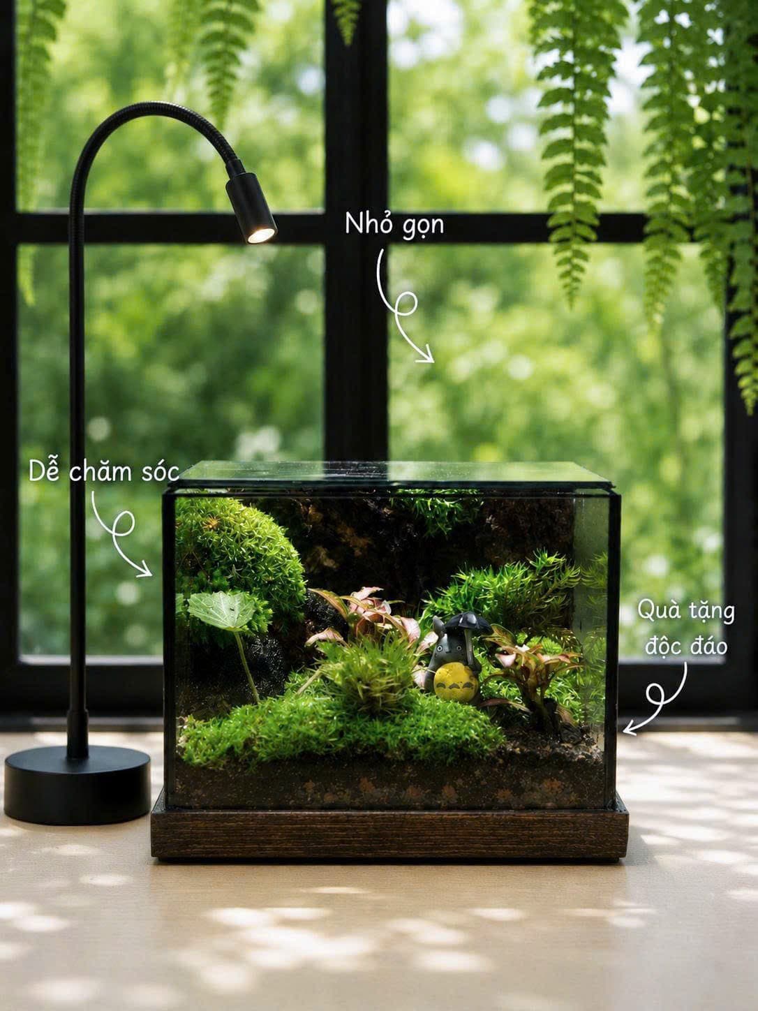 Bể Mini Totoro